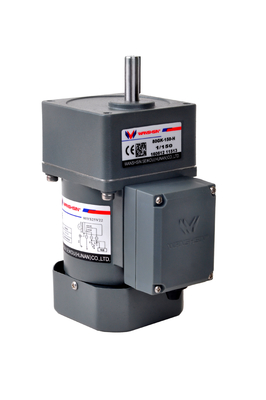 CA 6 - motore innestato compatto di 250W 220V per il nastro trasportatore